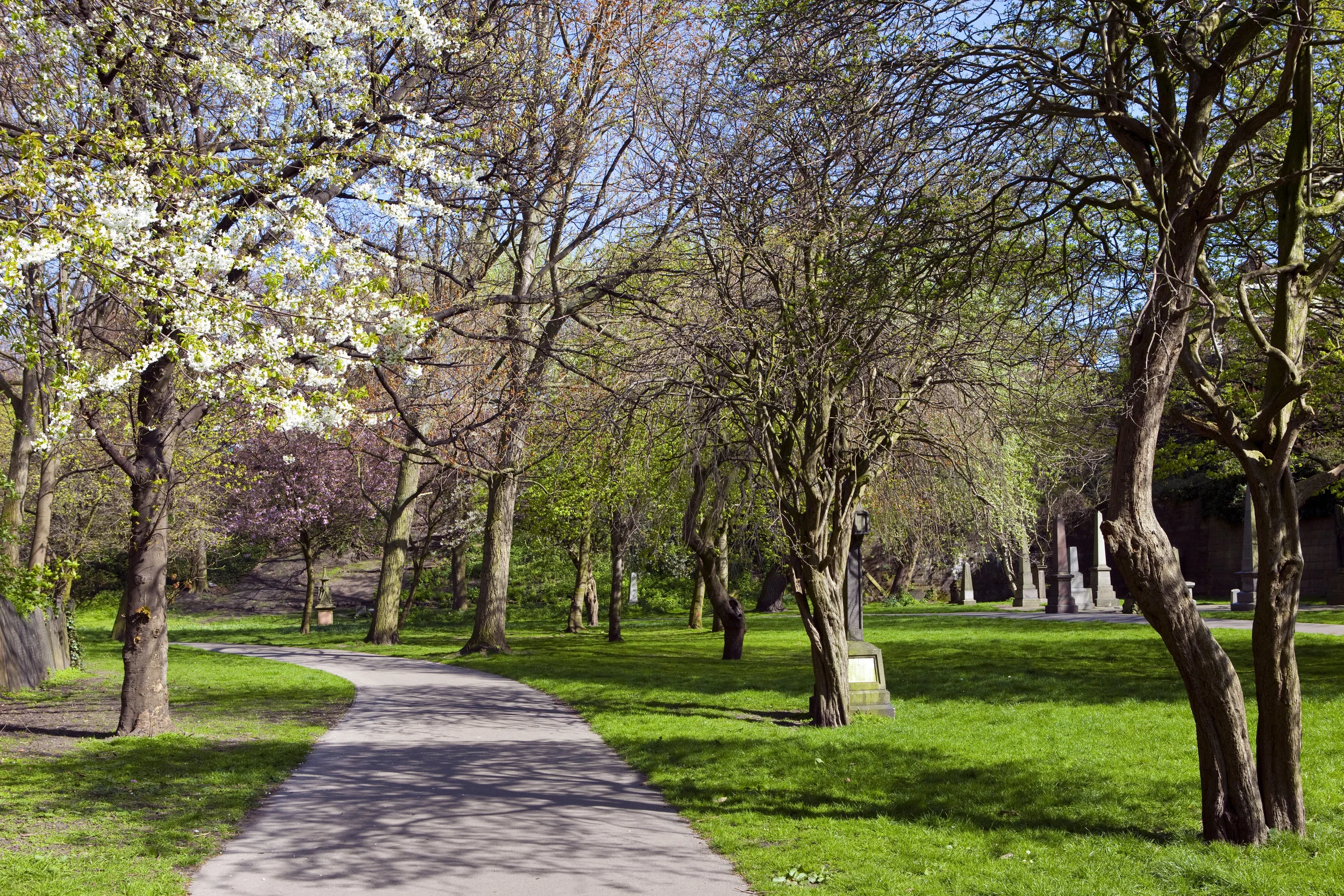 website photo cemetery winding path.jpeg
