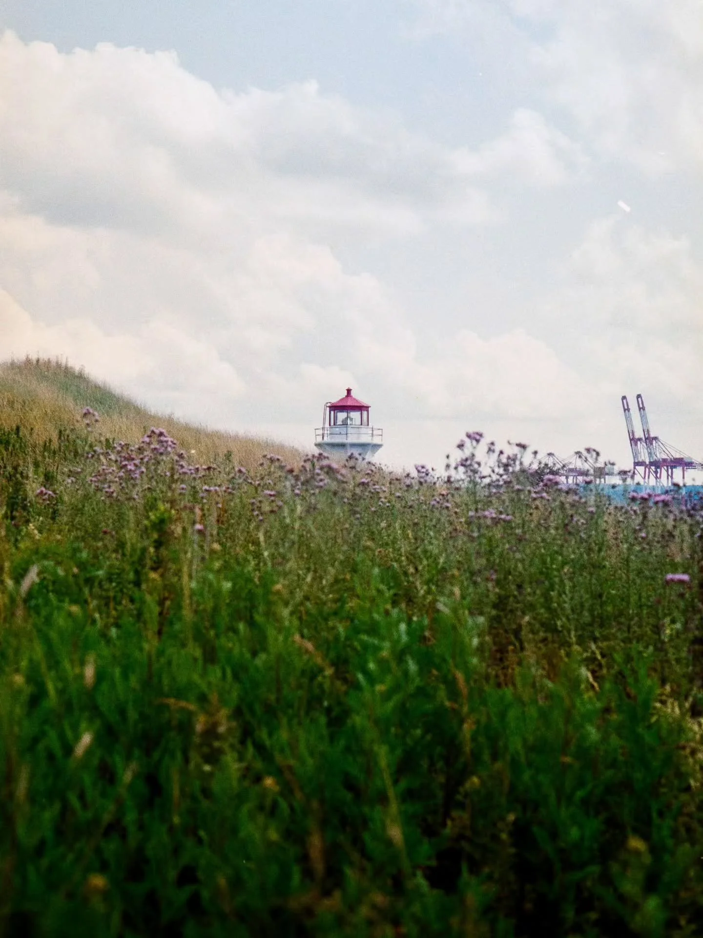 George's Island on Kodak Gold 

#filmisnotdead #kodakgold #shotonkodak #hfxfilmco #georgesisland