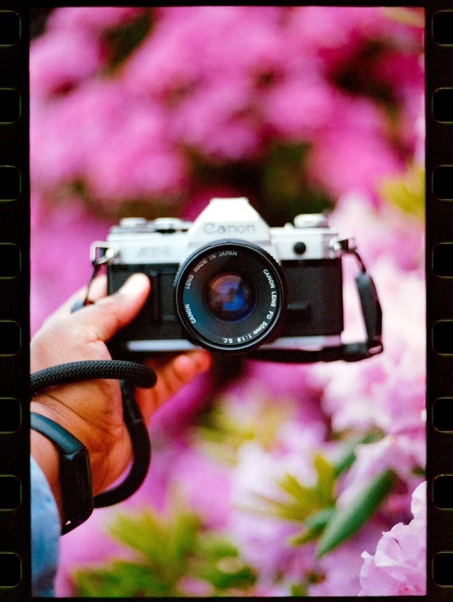 35mm scans from around Halifax this summer