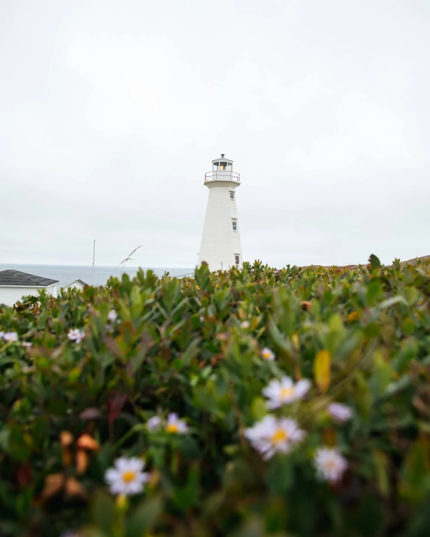 A few favs from my first time visiting Newfoundland with my older brother. @theglobeturners