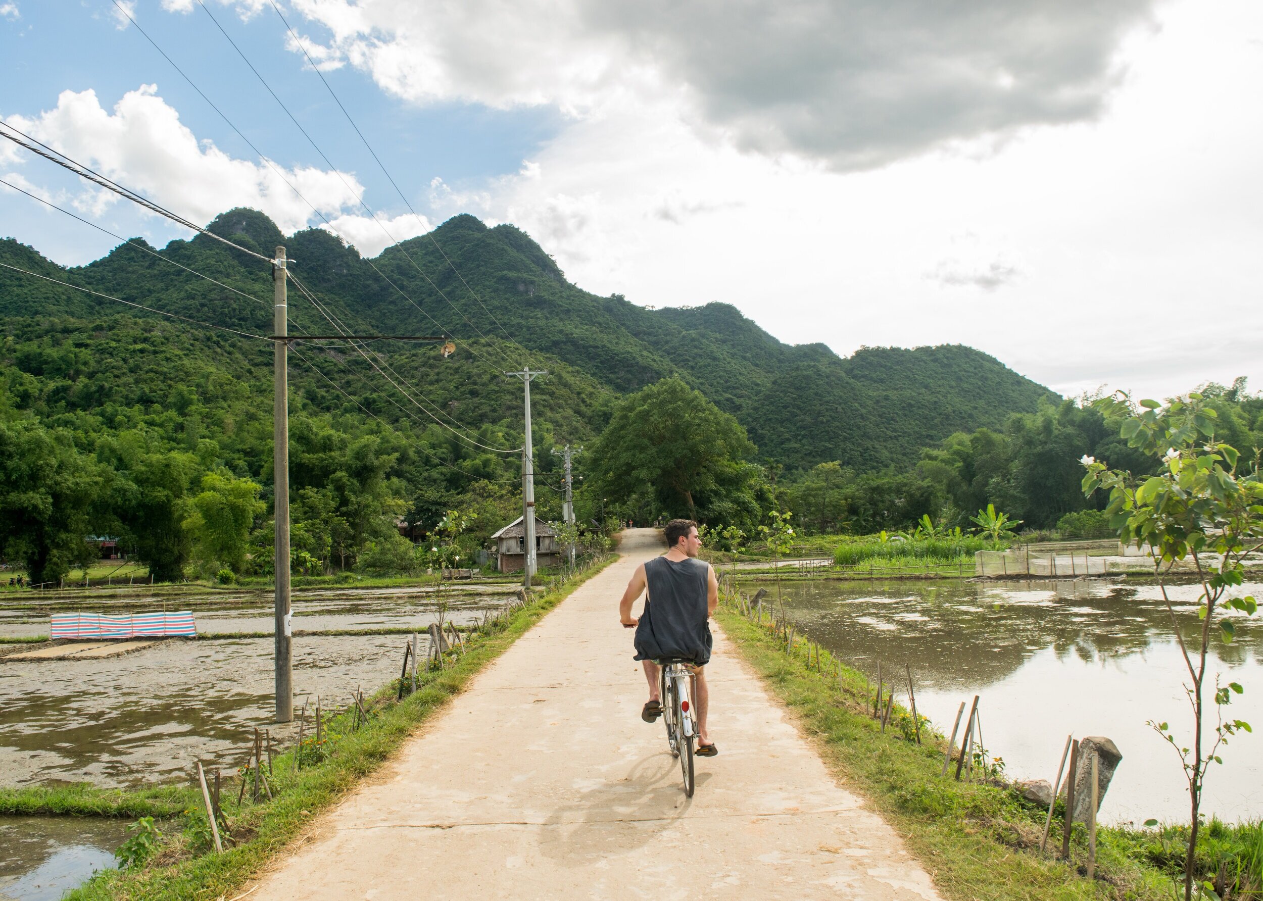 Riding bikes through the rice fields