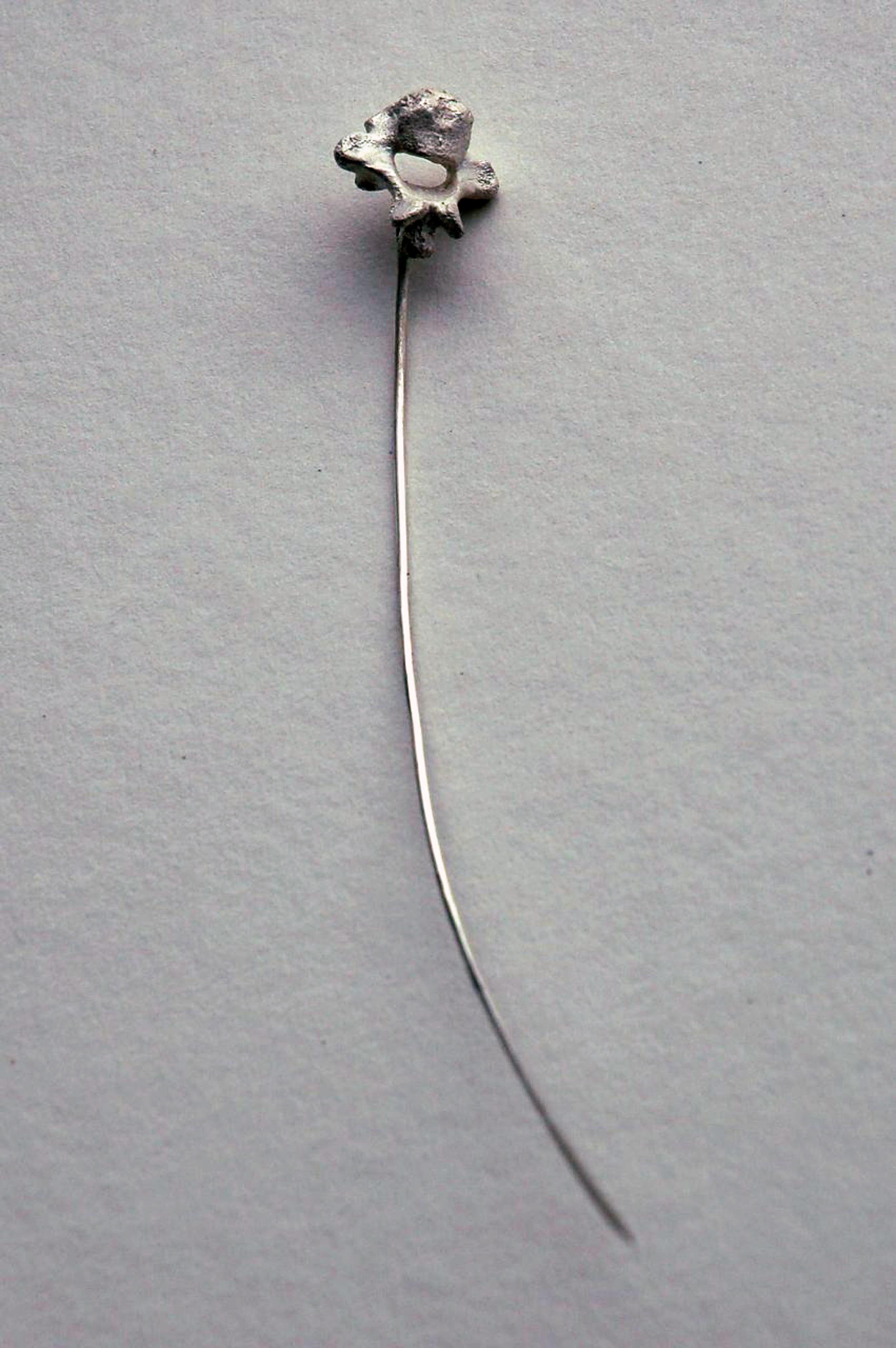 ebb pin.jpg