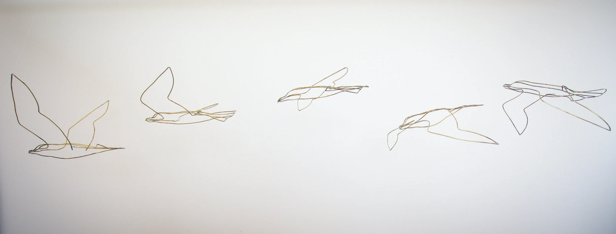 Migration bird forms