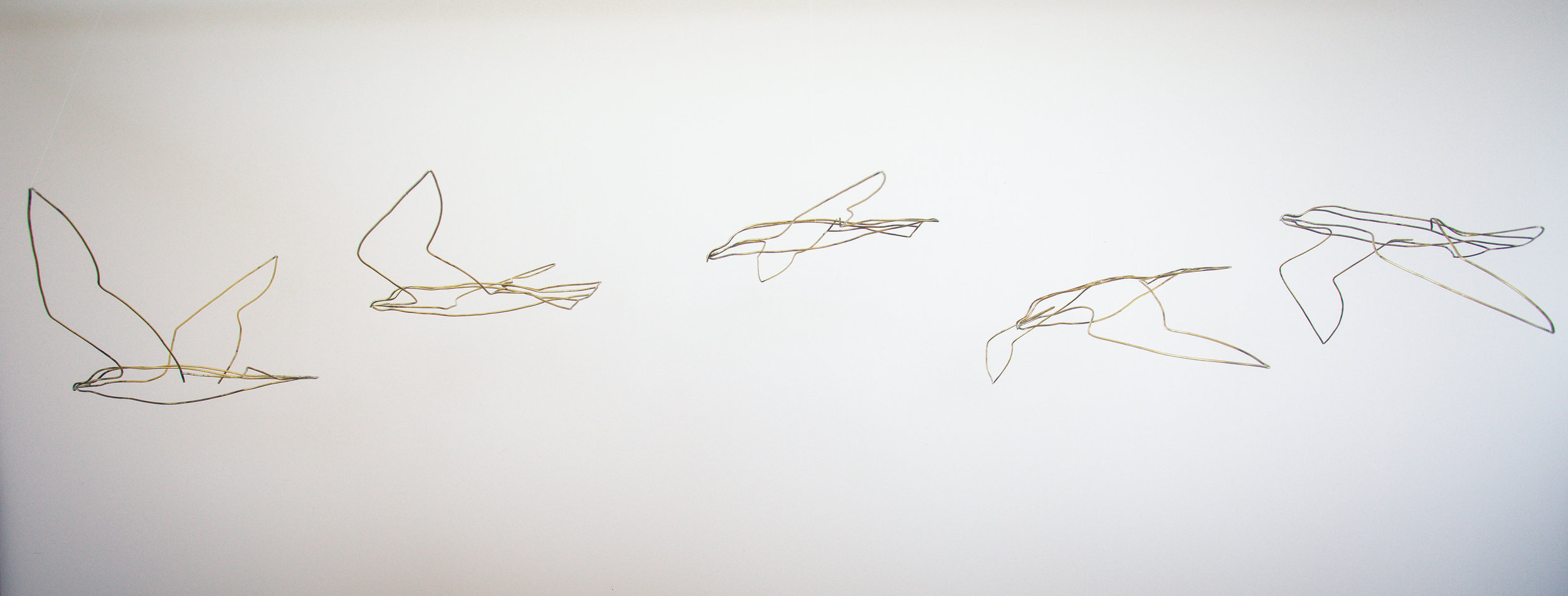 Migration bird forms