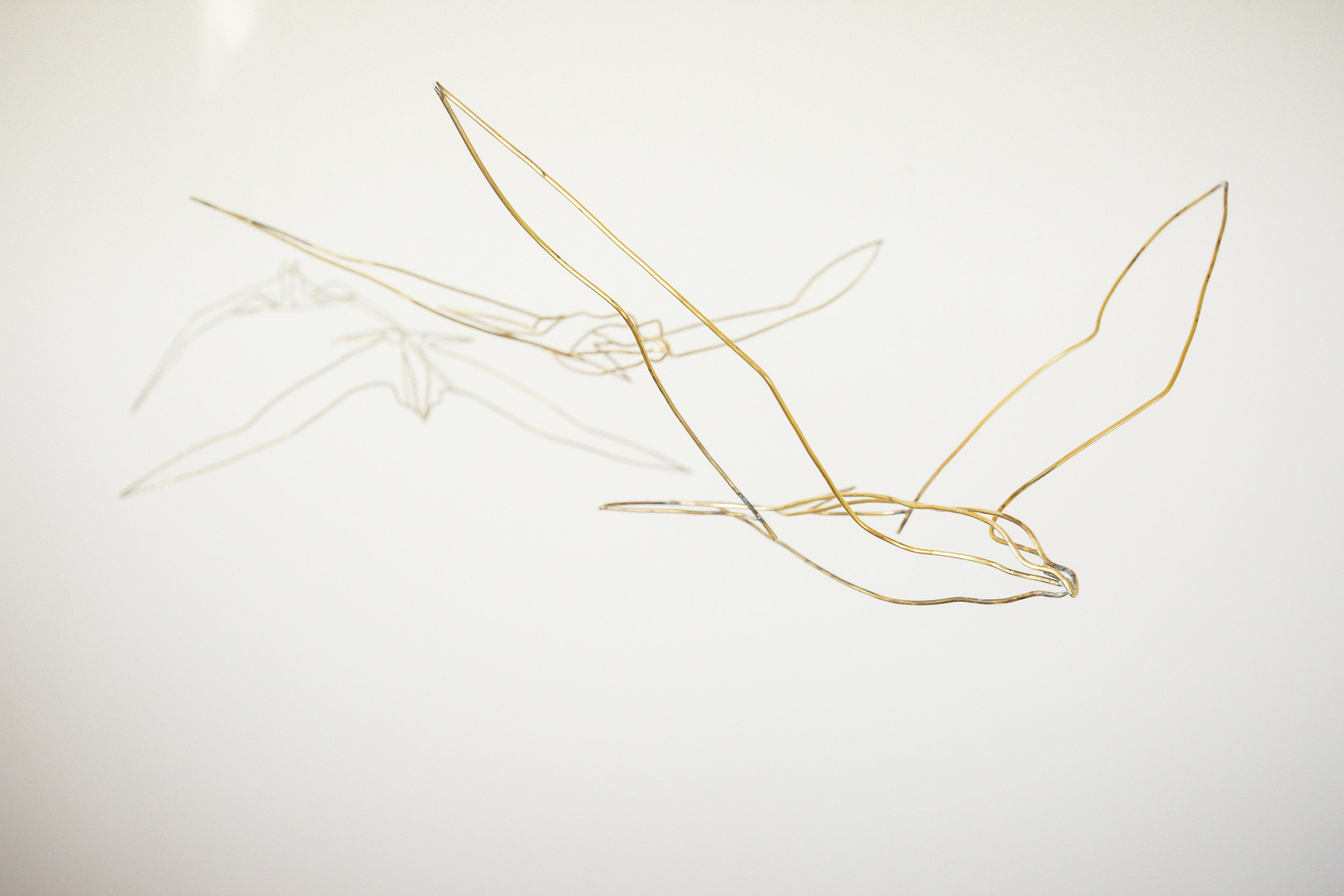 Migration bird forms