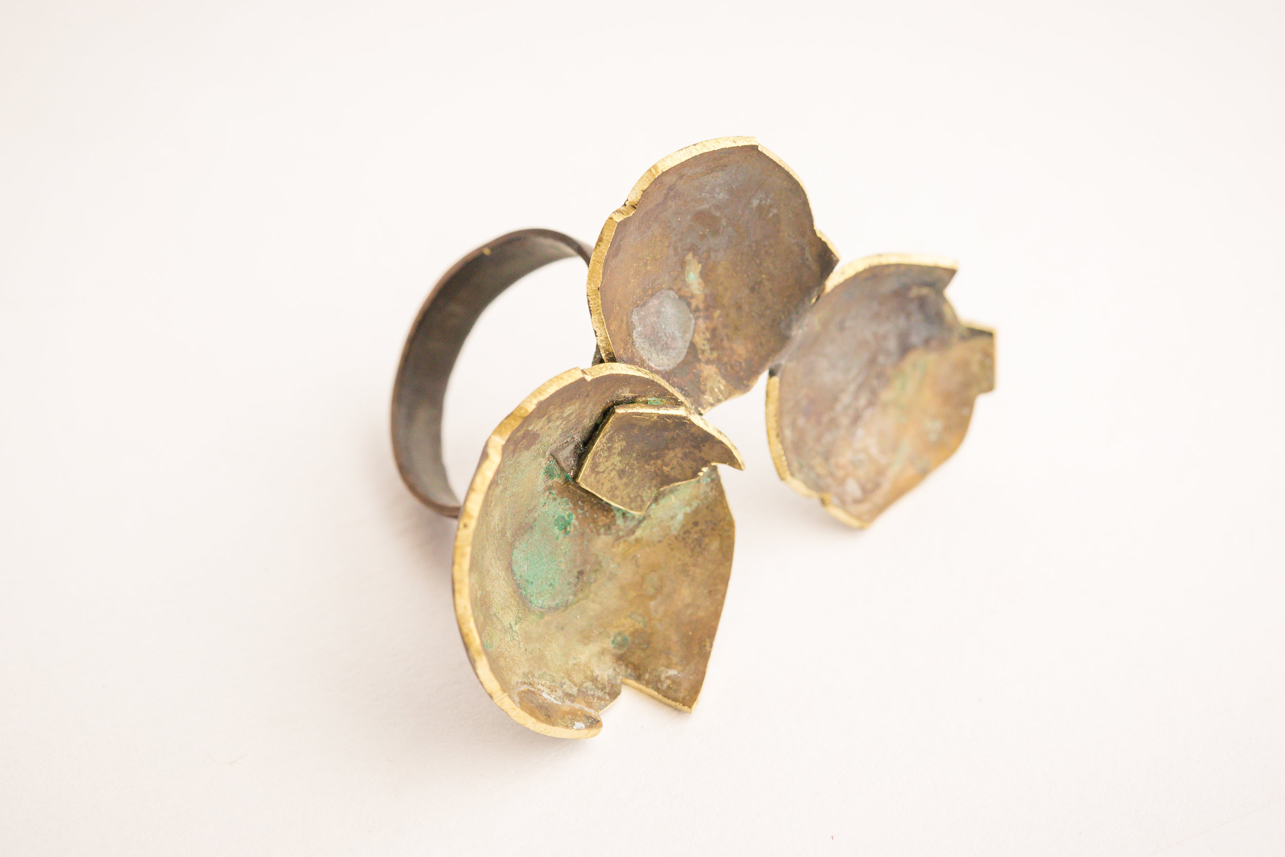 Shell ring