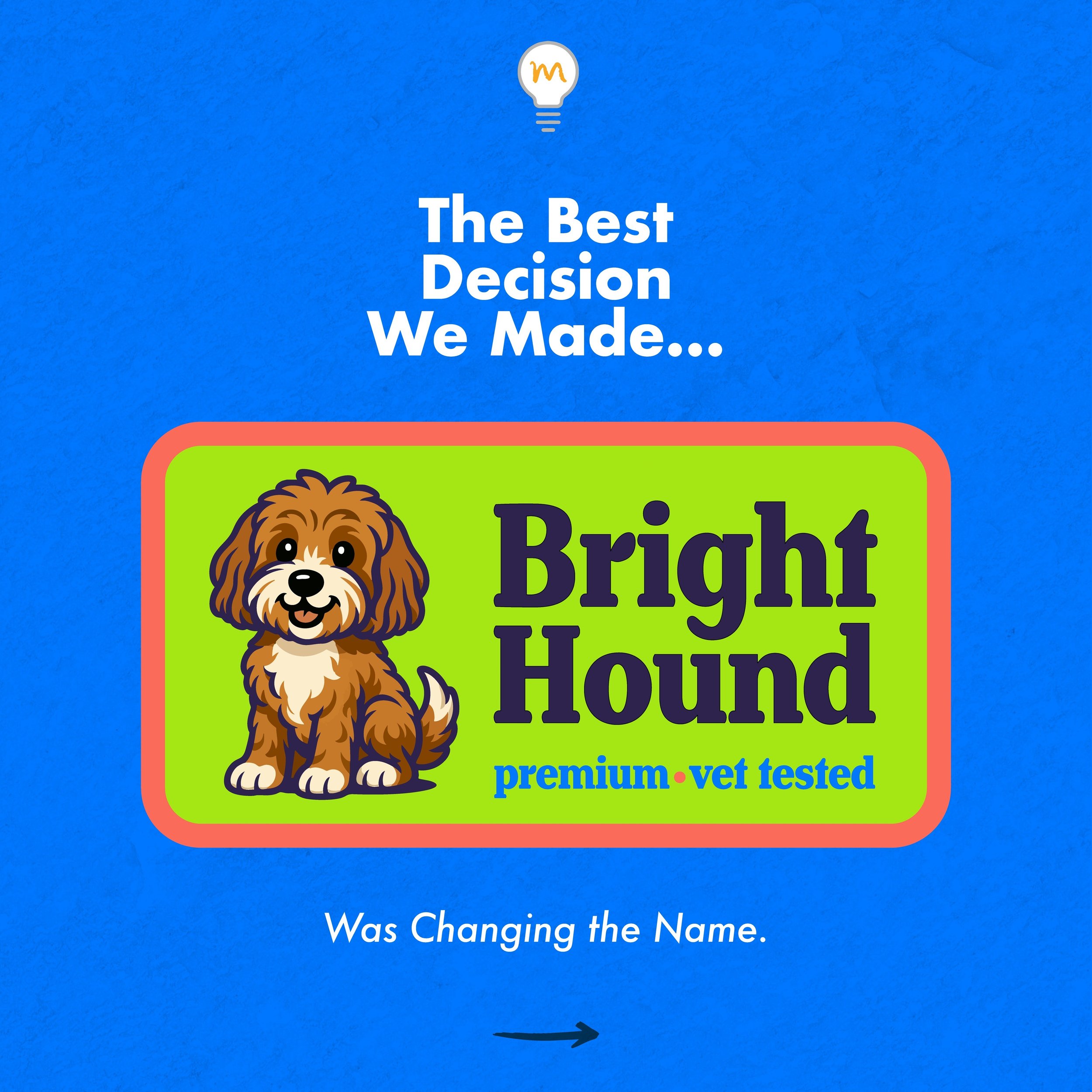 One of the biggest lessons from the BrightHound project had nothing to do with product design.

It had to do with being willing to change.

The original brand name was Habitat Hound, and while it had potential, we didn&rsquo;t want to move forward ba