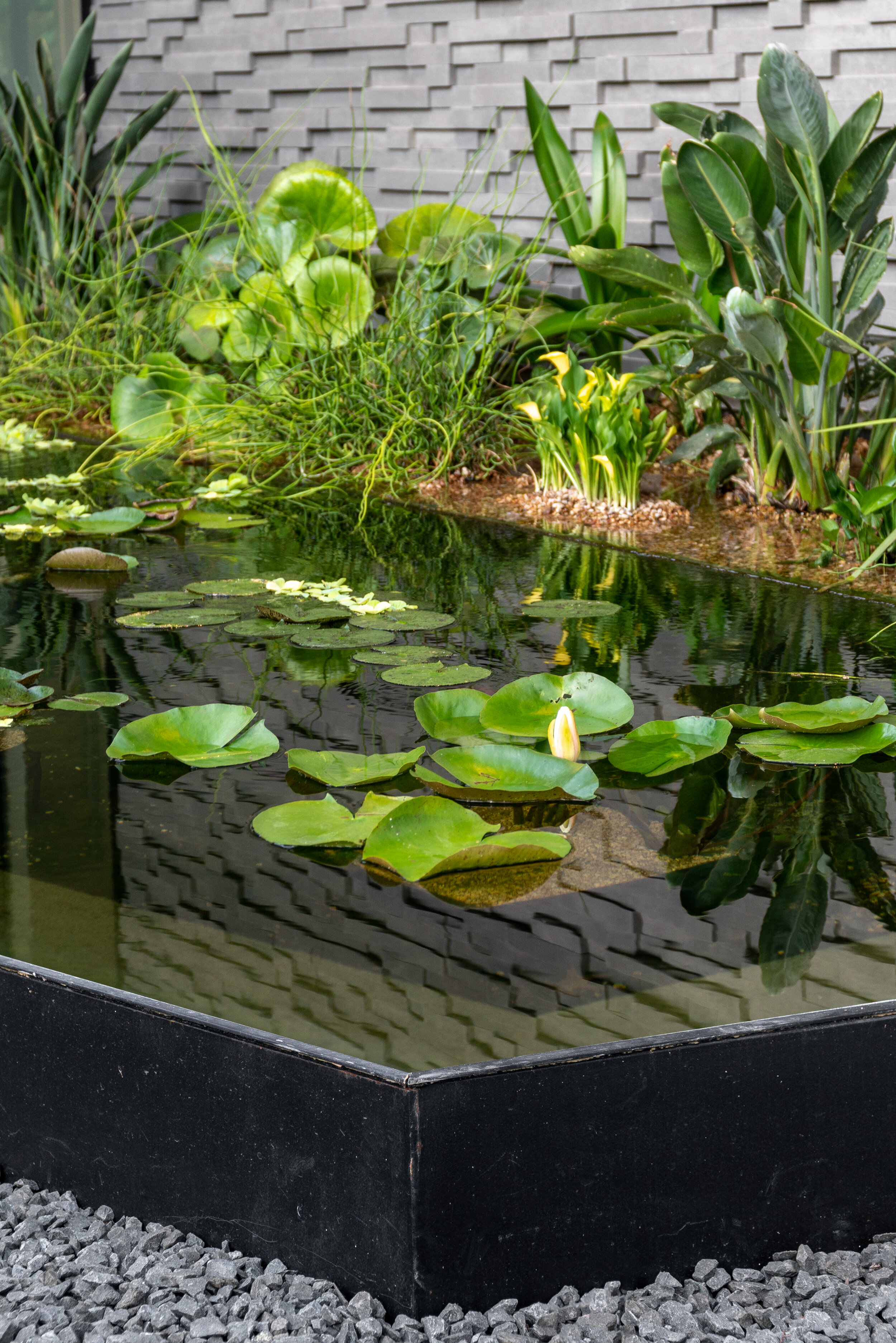 austin outdoor living contractors on Landscape Design Custom Pool Builders Austin Water Designs