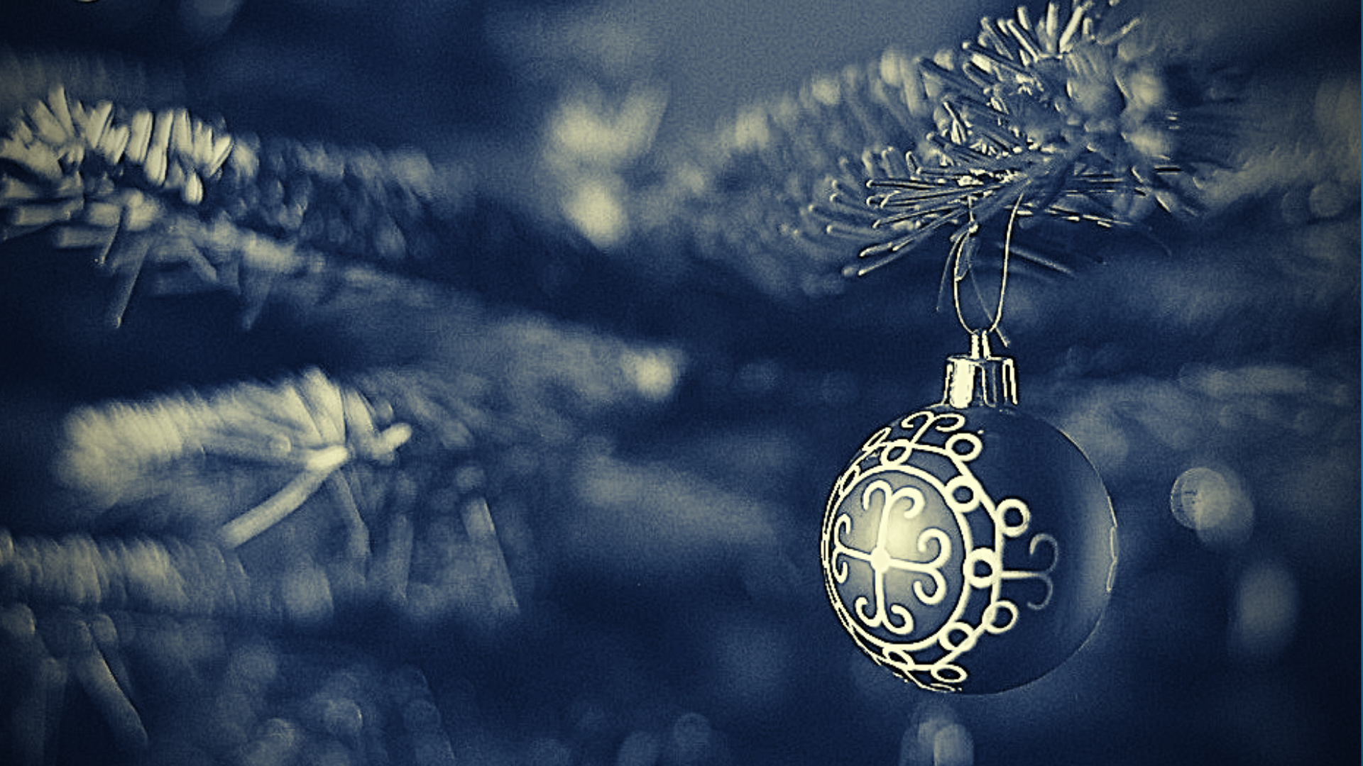 Blue Christmas Postcard (1).png