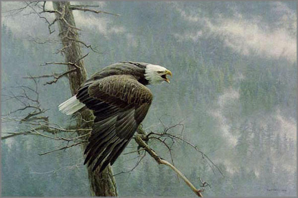      

 
   As Donald Rumsfeld once put it,  there are known unknowns: things we know that we don't know. For example, I know that this painting is not art. Maybe it's science.  
 






















    










































