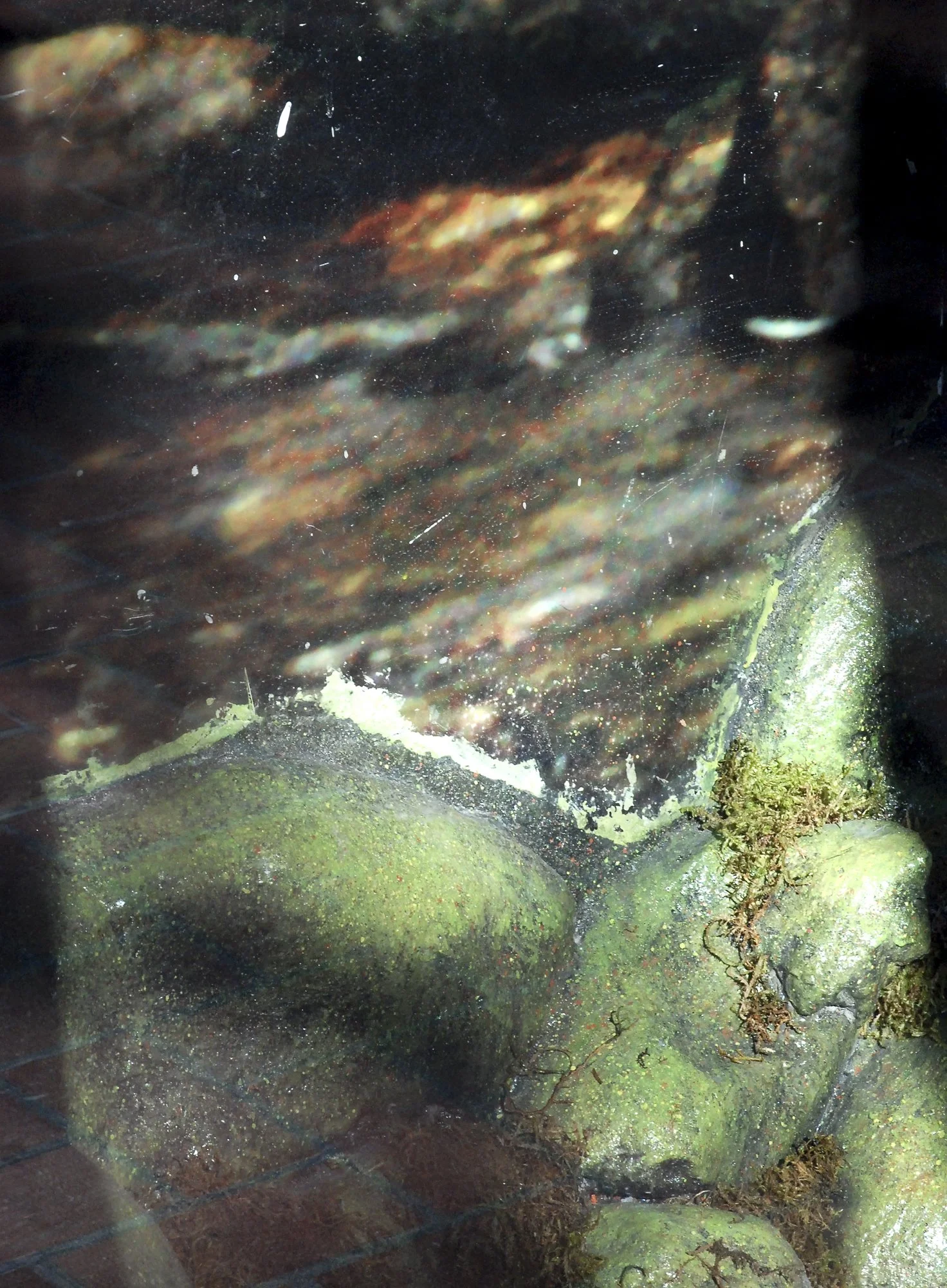 DSC_9692.jpg