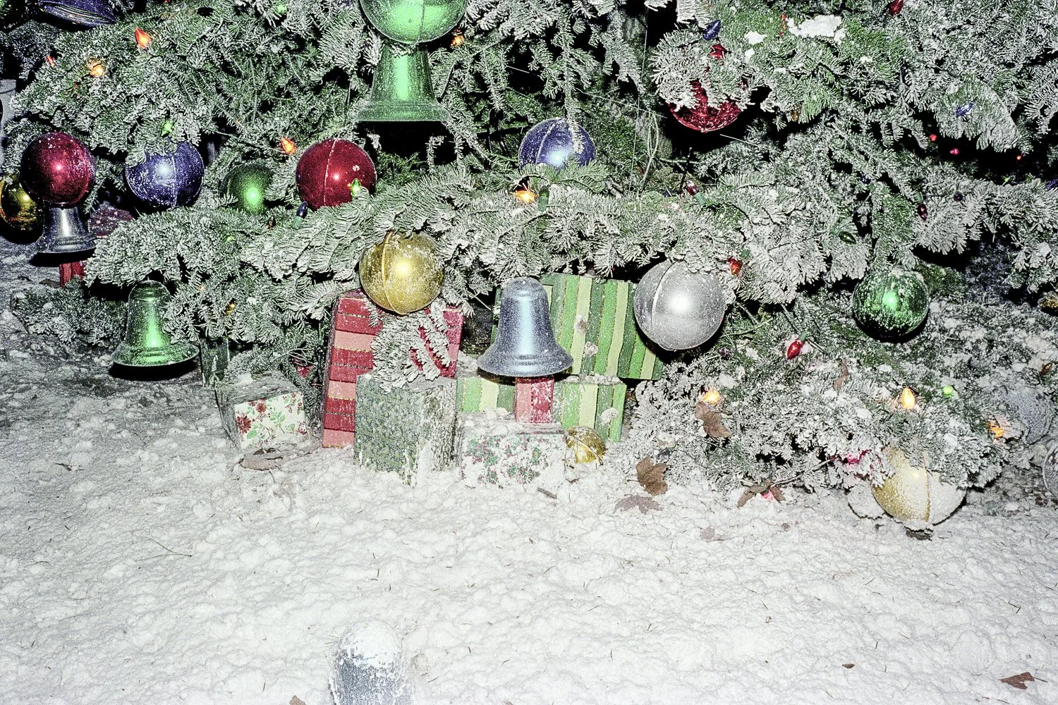 1982 Anaheim-2-4.jpg