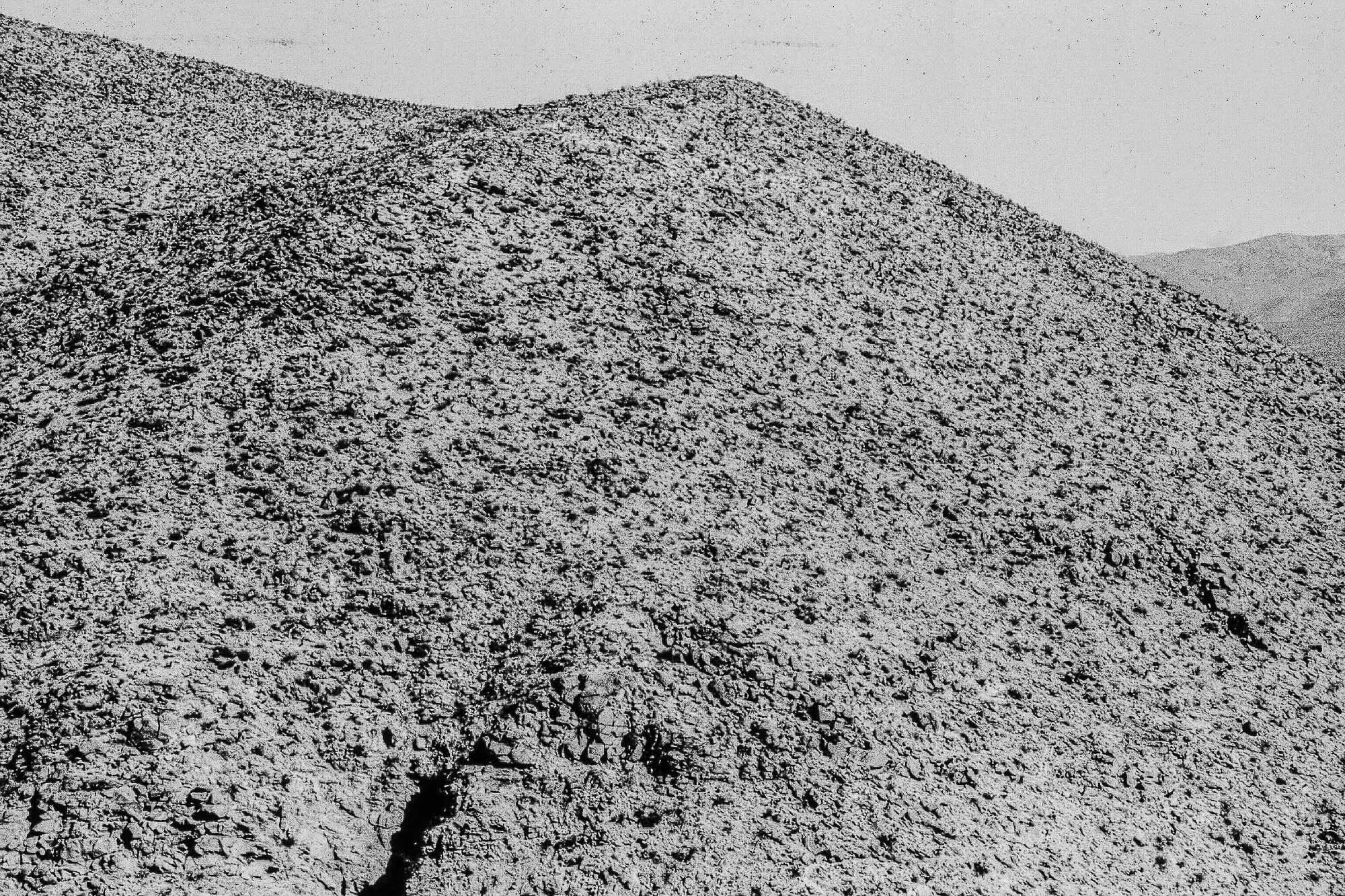 1972+Borego.jpg