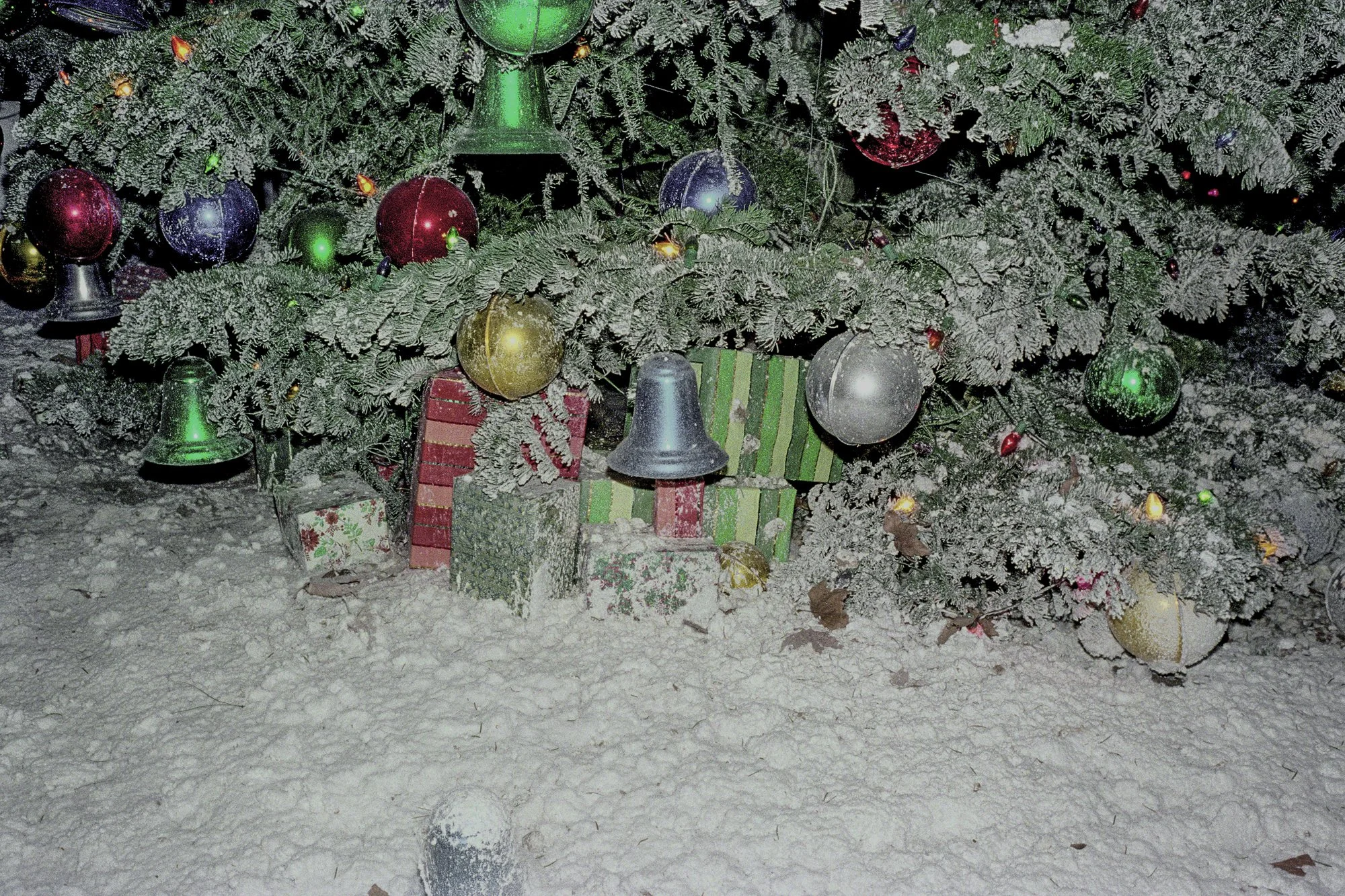 1982 Anaheim-2.jpg