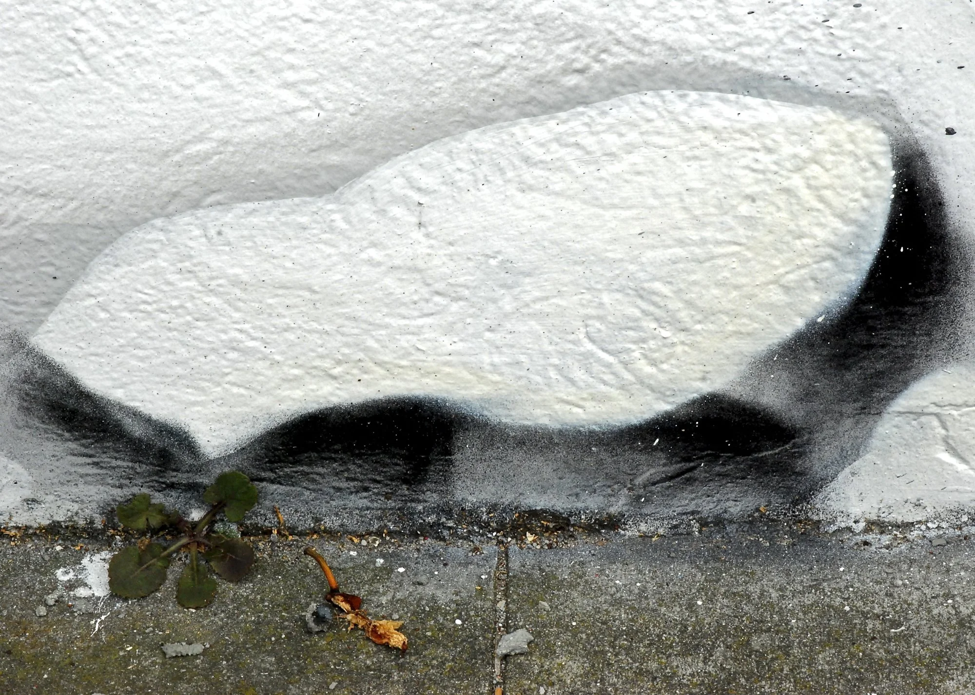 DSC_9685.jpg