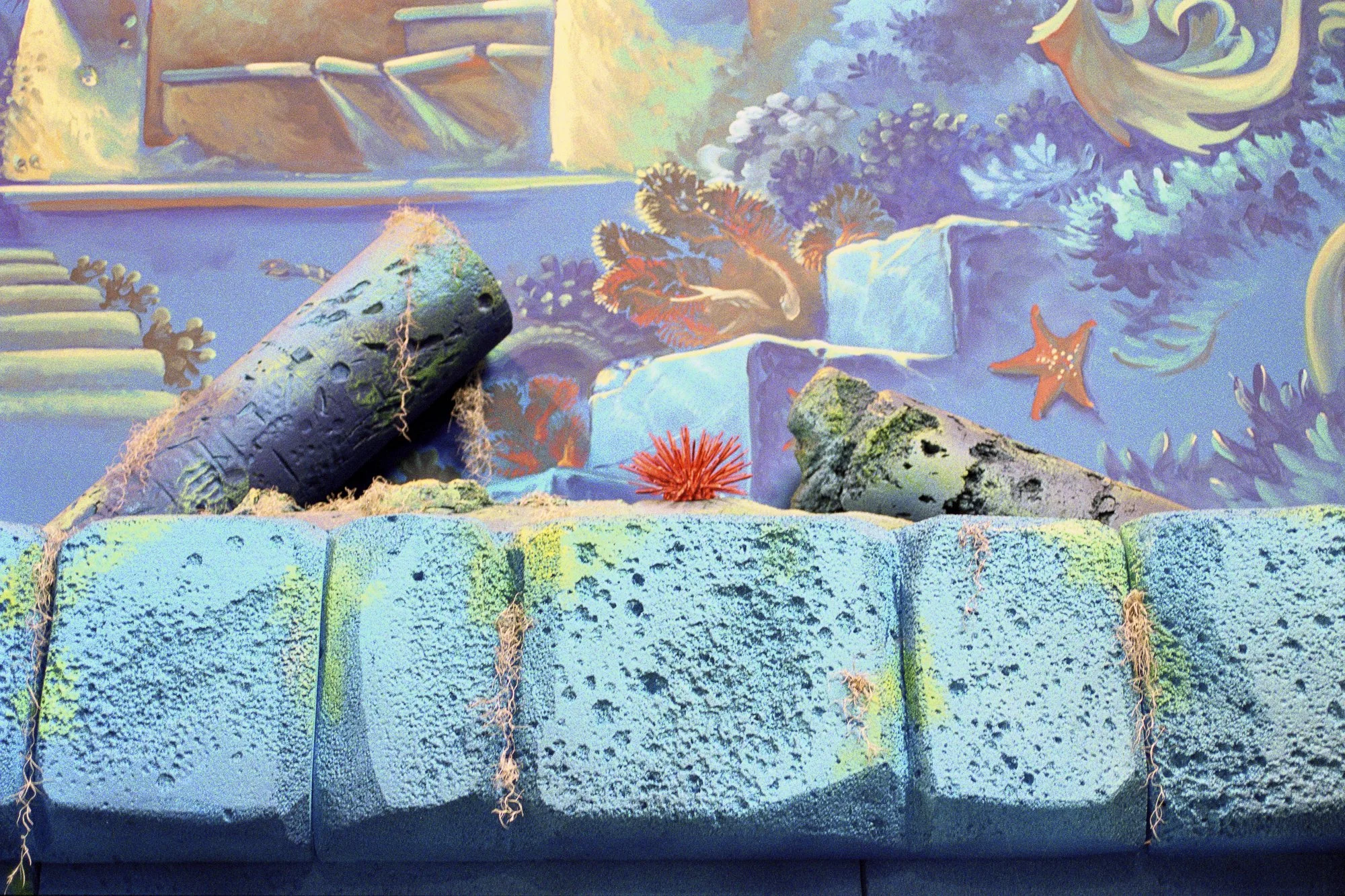 0404-02BD.tif- Santa Rosa.jpg