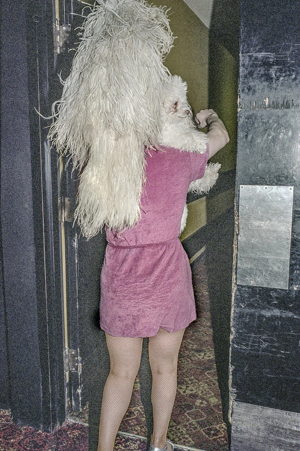 1982 Reno.jpg
