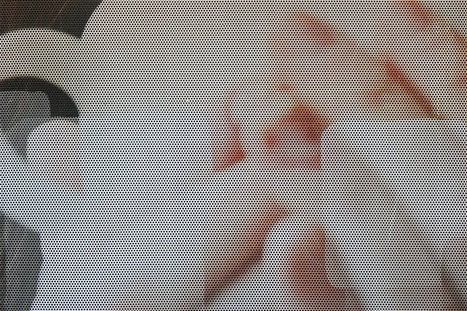 DSC_6110.jpg