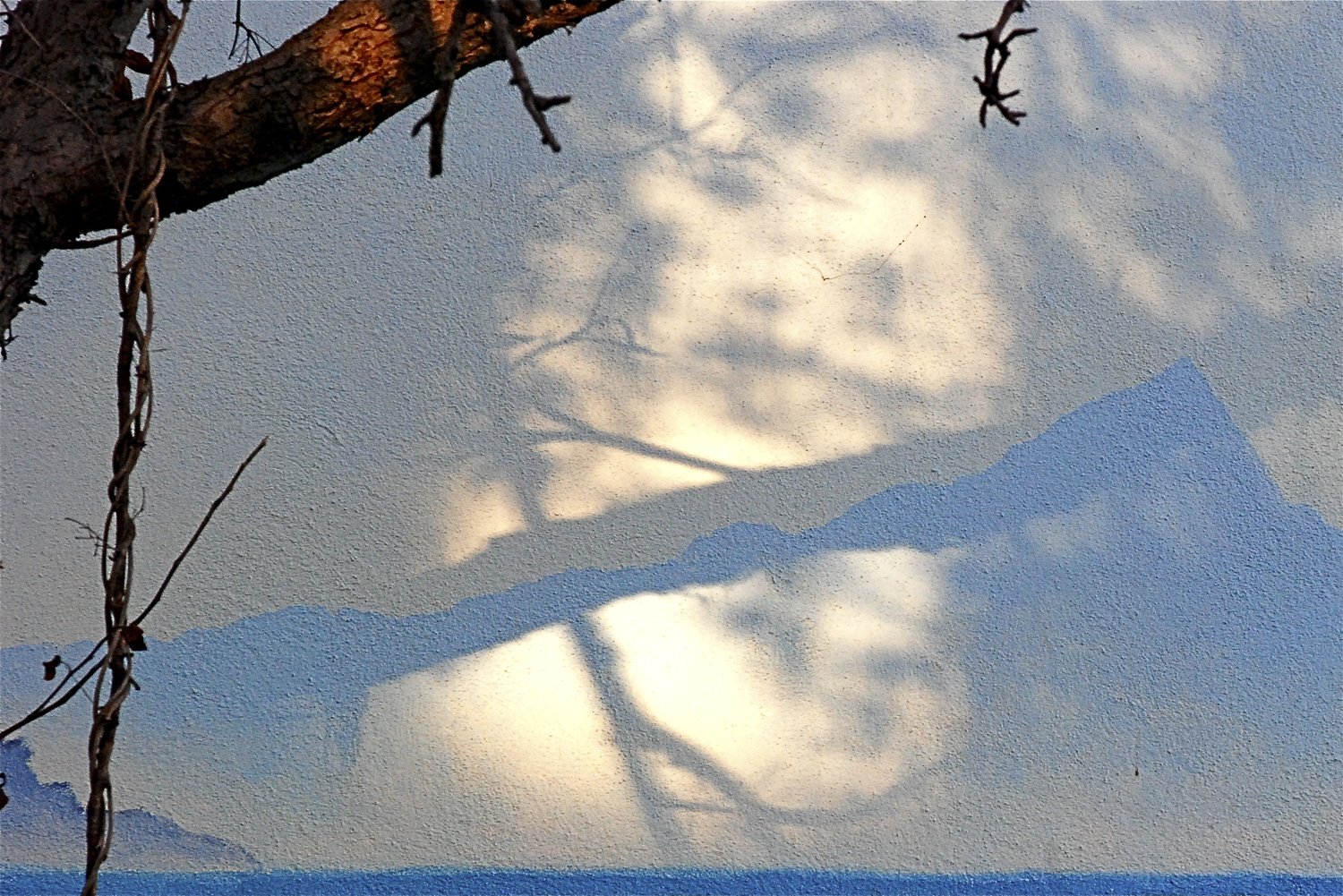 DSC_4761.jpg