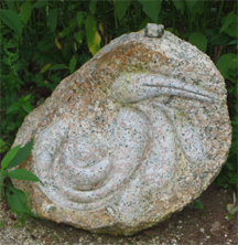 bird.jpg