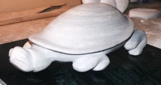 turtle.jpg