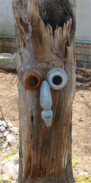 face.jpg