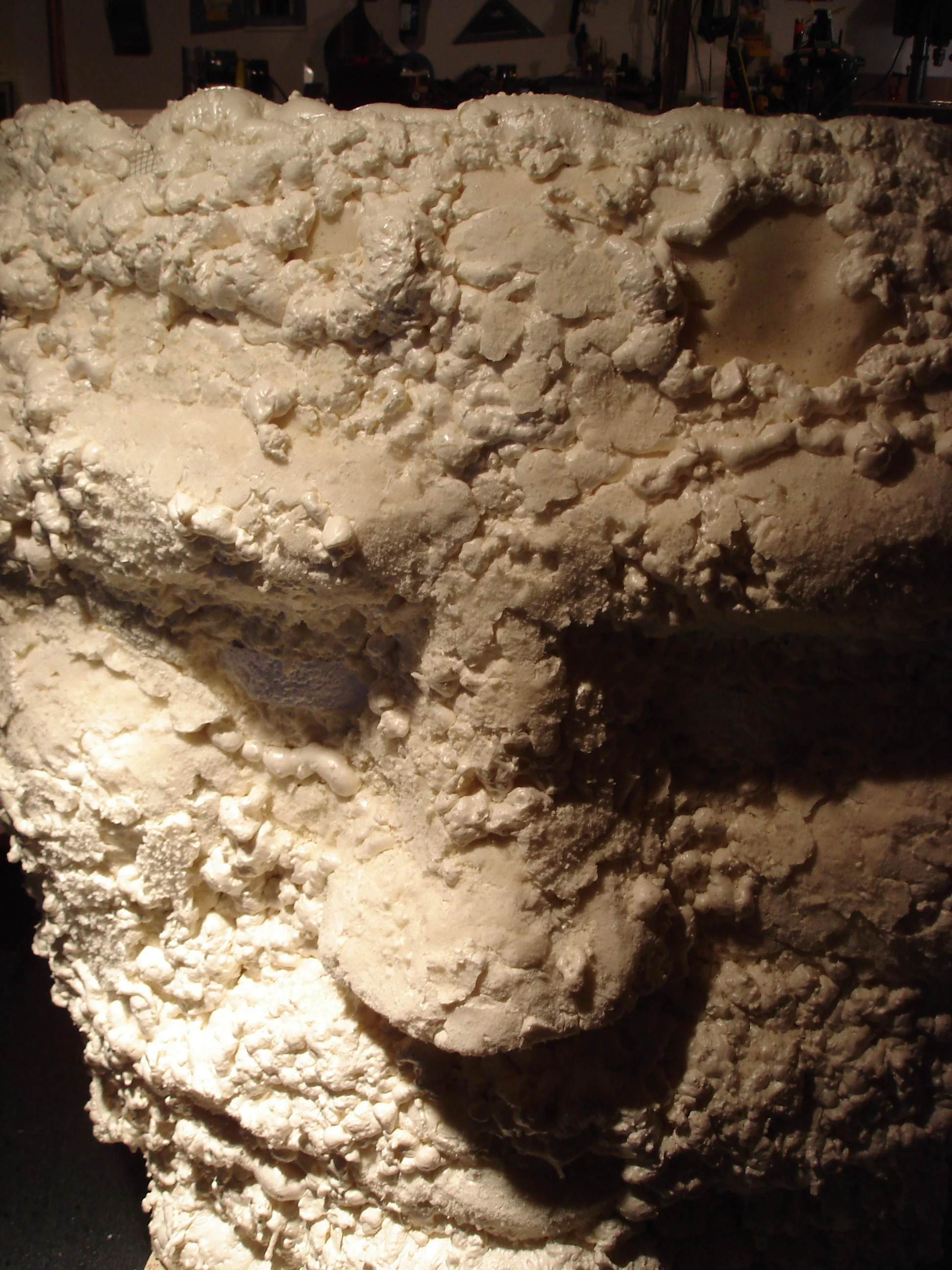 DSC01944.jpg