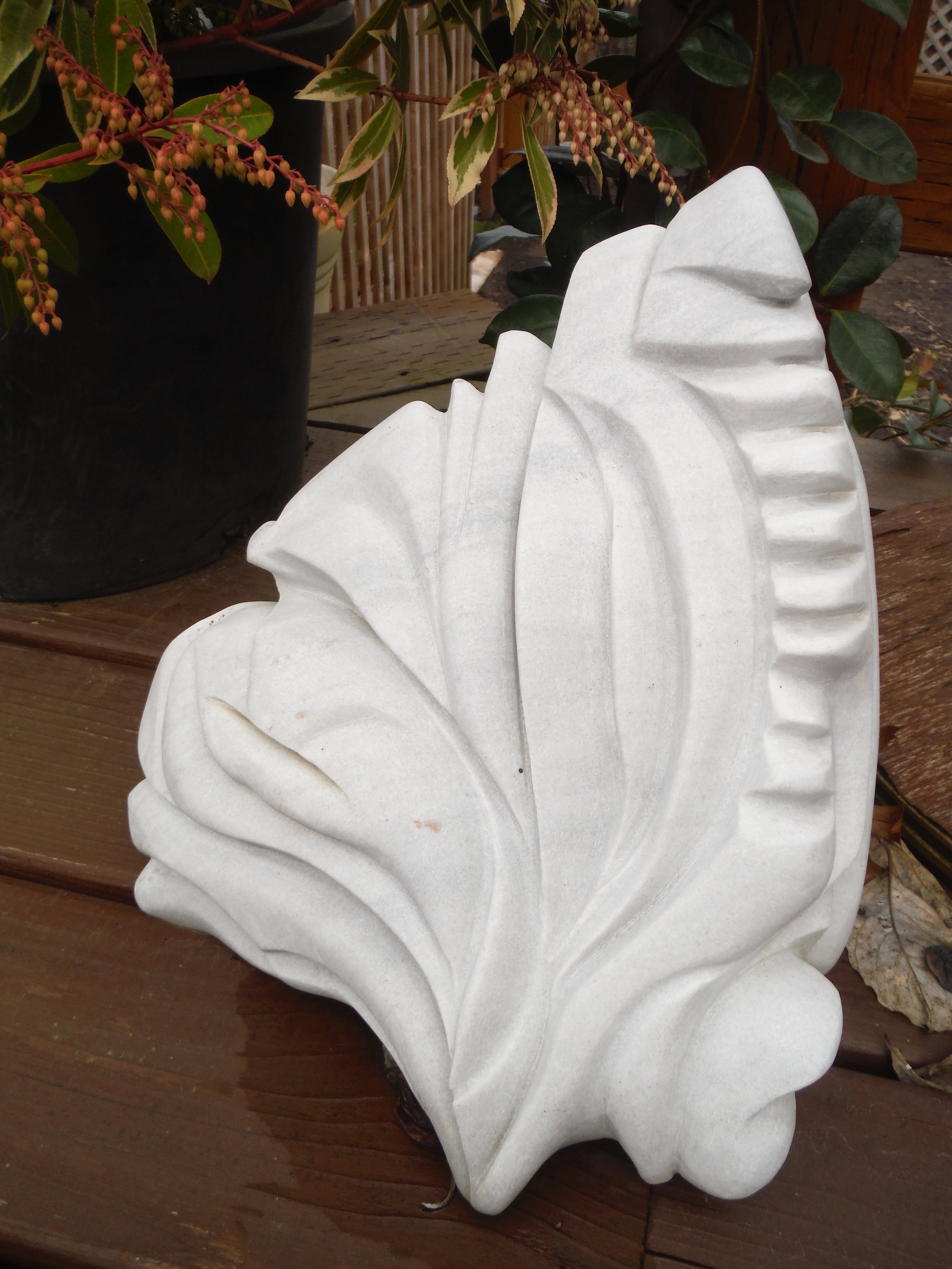 DSCF2256.jpg