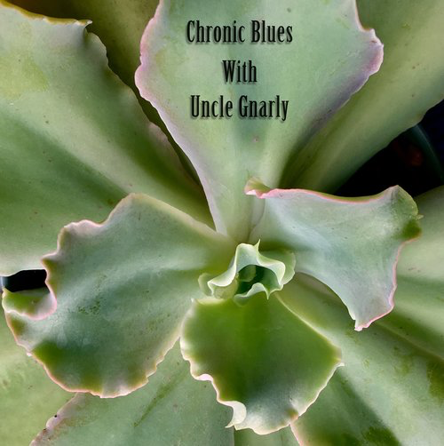 Uncle Gnarly Chronic Blues Wednesday, 23.00-00.00 (Monthly) Once a month, ya boy Uncle Gnarly is taking you on a cruise through lush landscaped with introspective rhythms and dreamy melodies mean to relax the soul. Light up and look inwards with Chronic Blues.