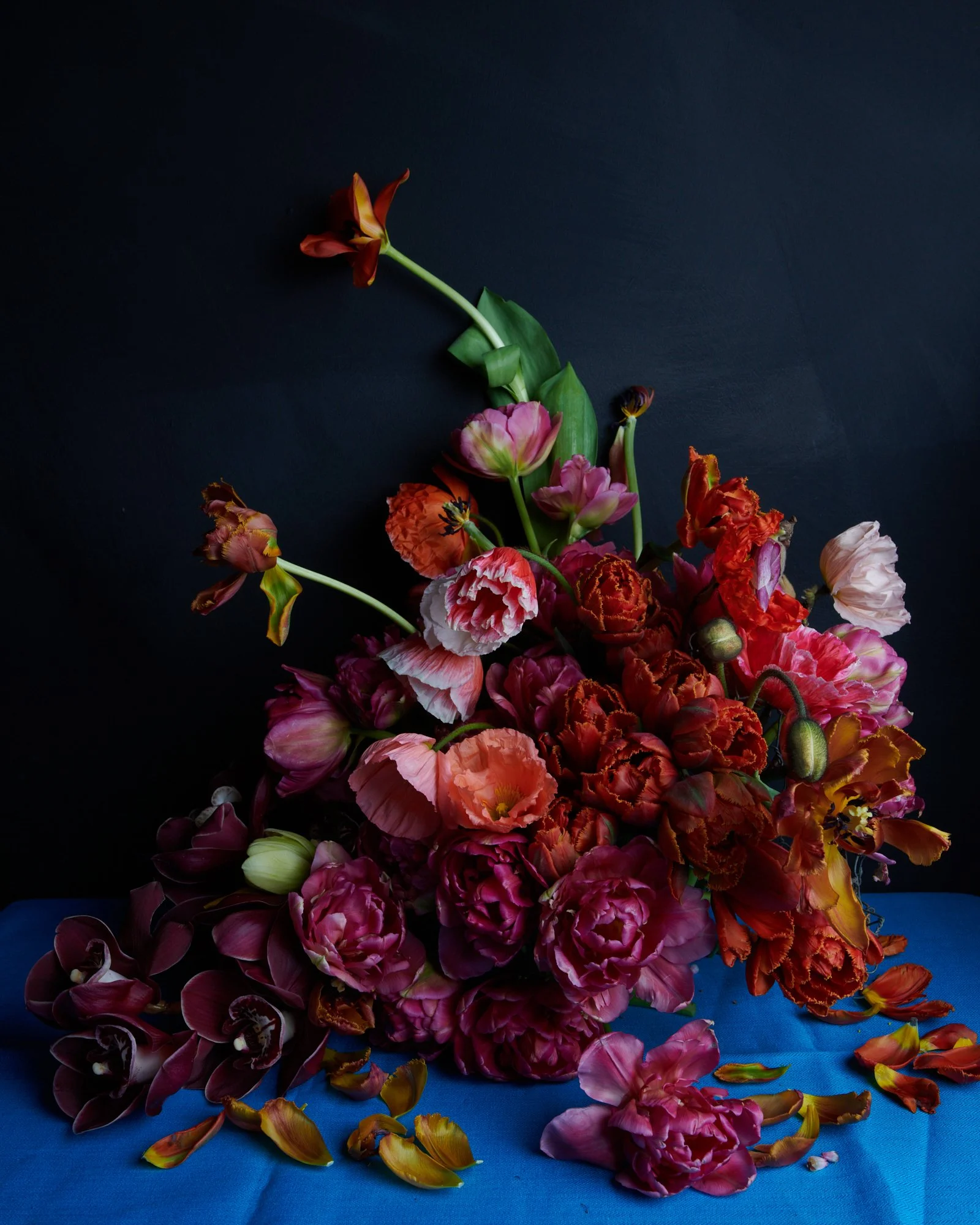 2022_08_17_MareeFlowers_87271.JPG