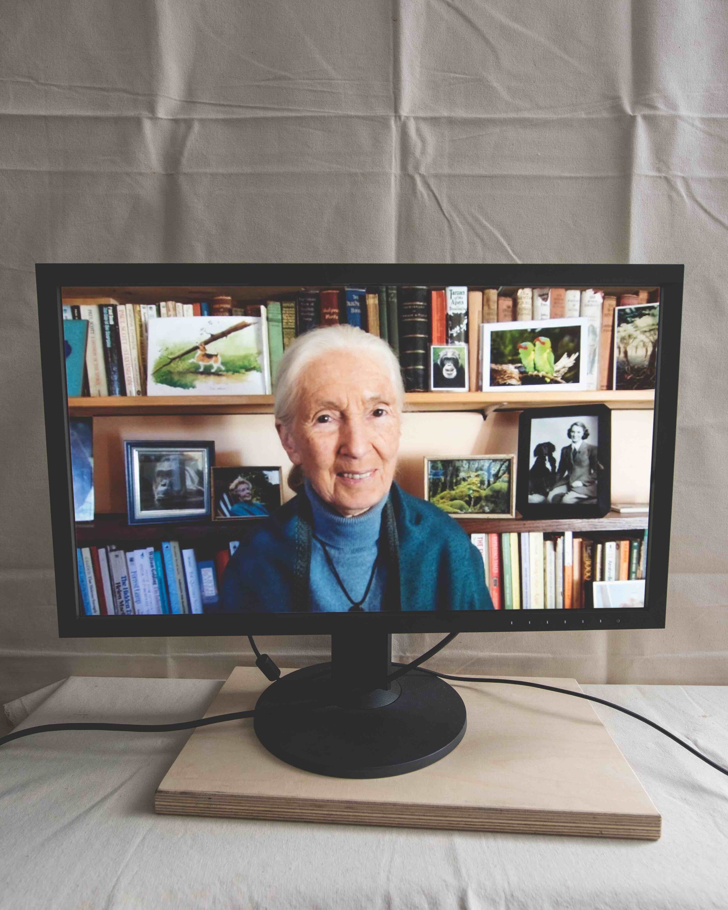 20_11_04_VOGUE_J_peg_Facetime_Jane_Goodall4183.jpg