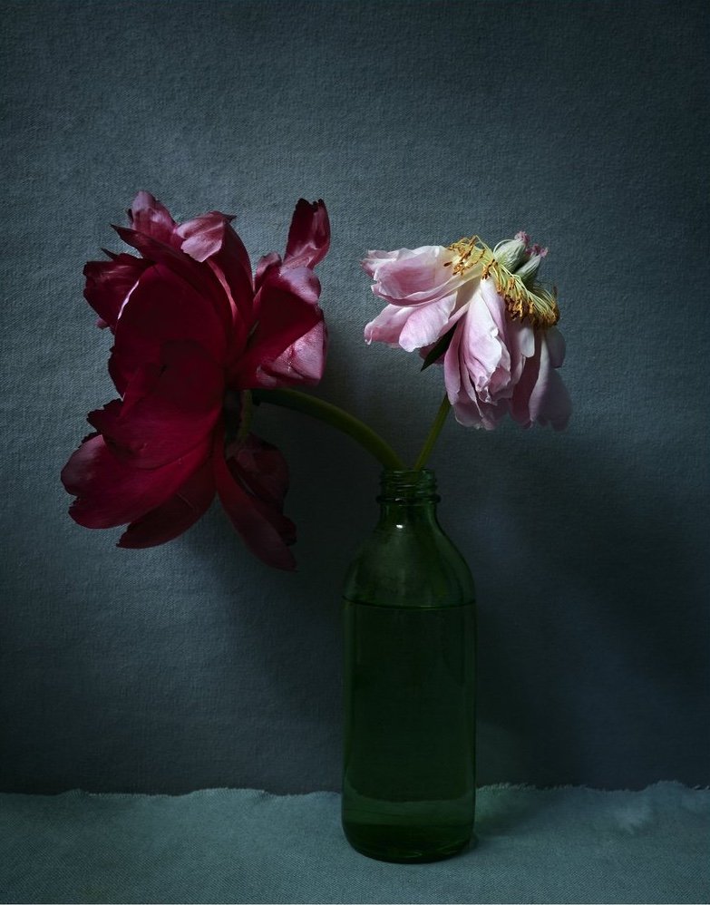 44829-CROPPED.jpg