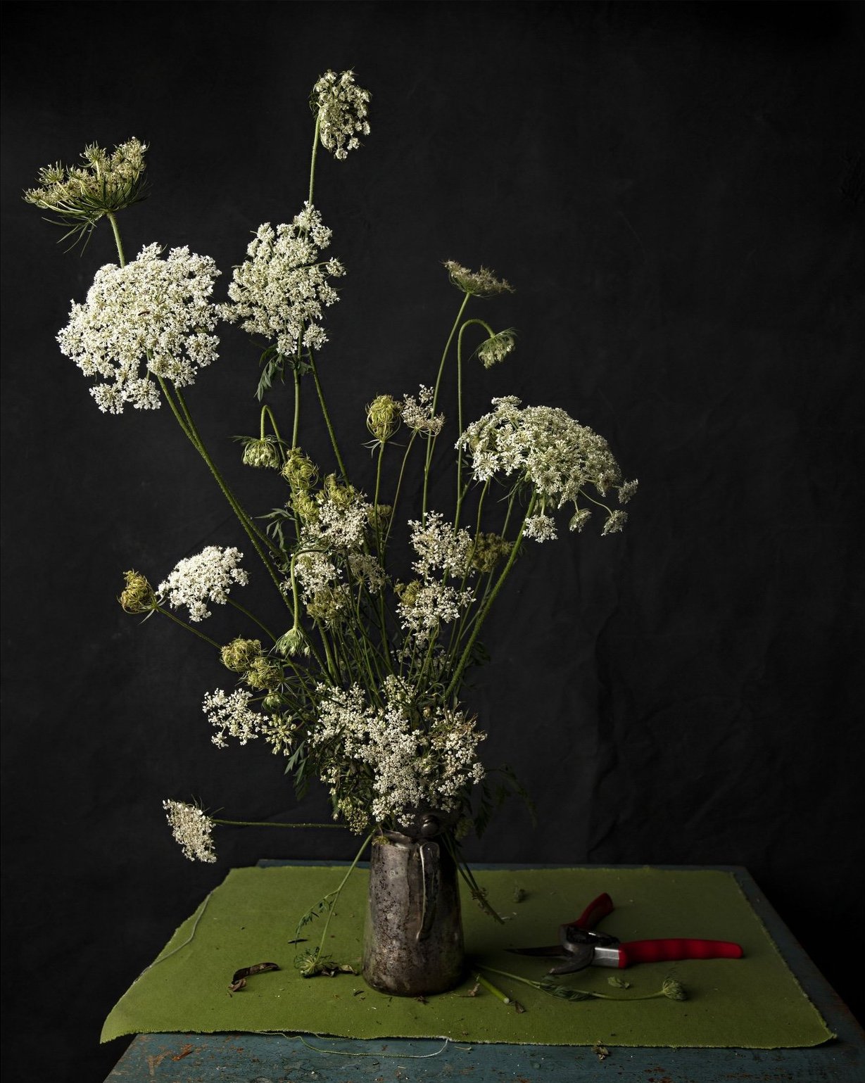 2023_03_17_Flowers_Maree_Portraitsxx_StillLife_366-CROPPED.jpg