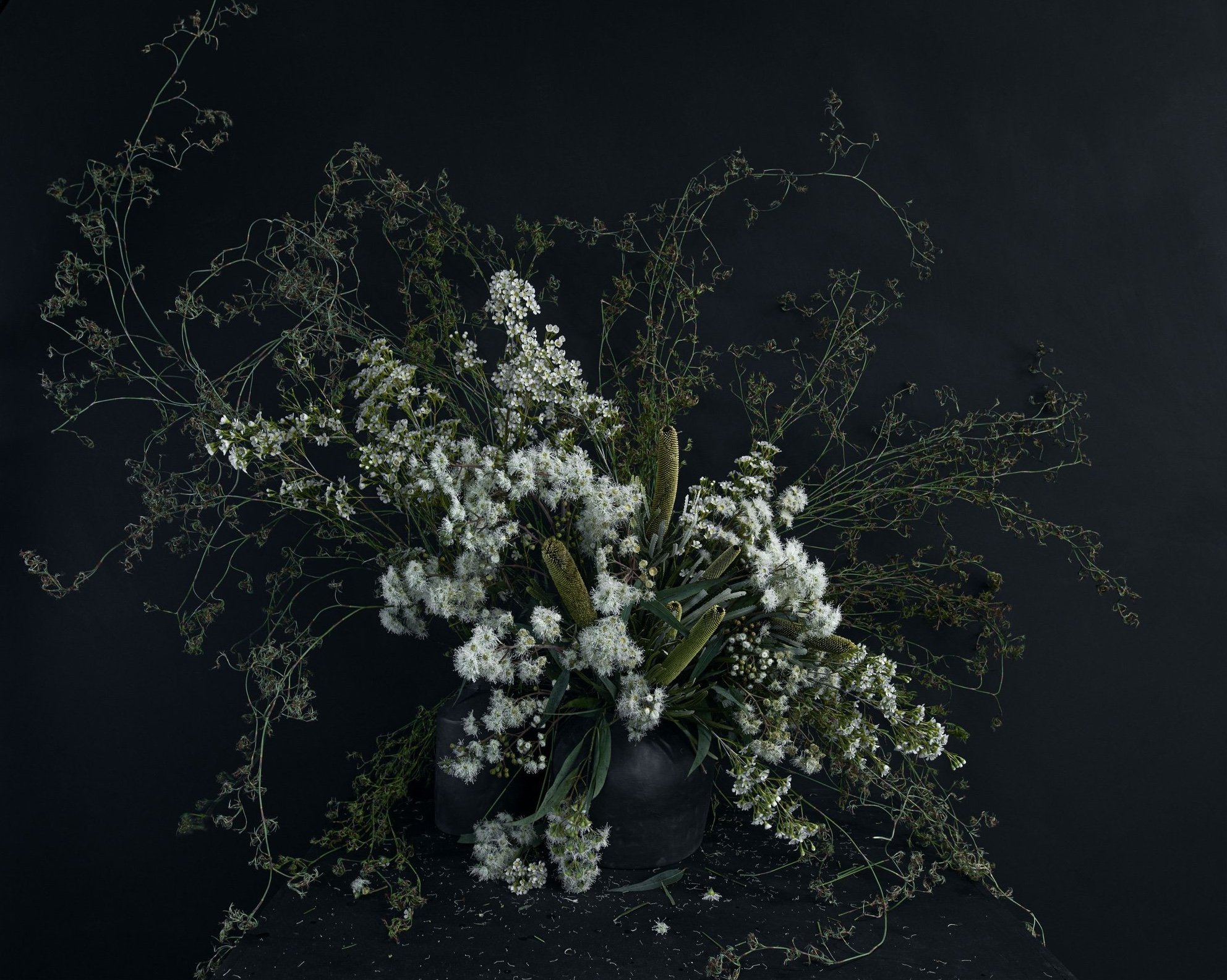 6-CROPPED.jpg