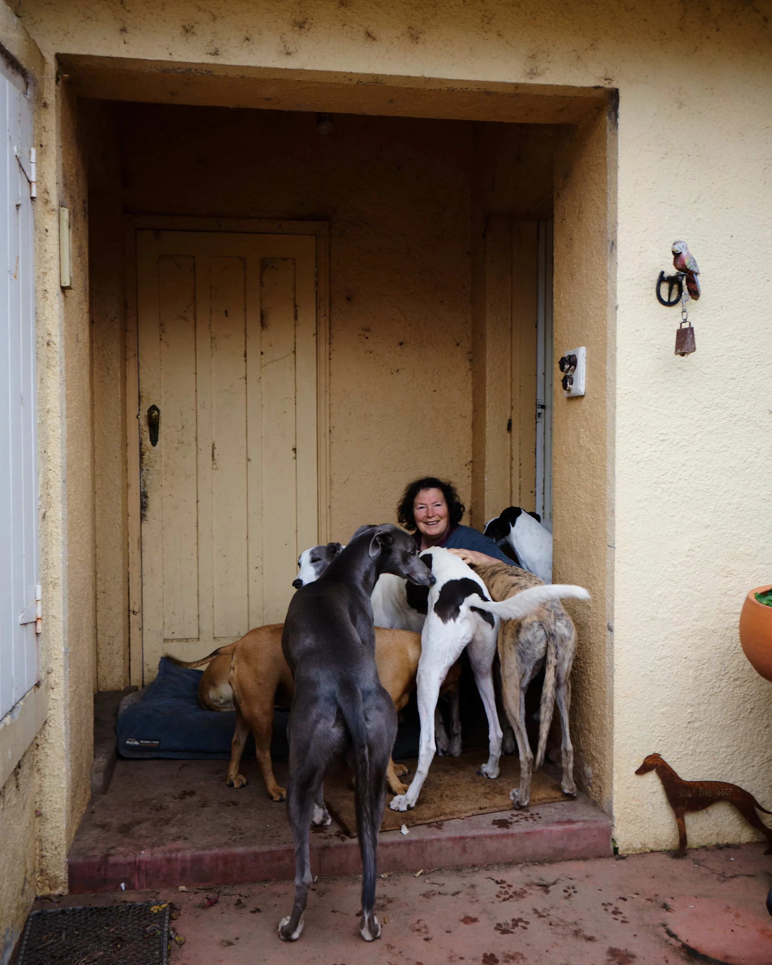 2026_06_18_Lucy_Culliton_52250005.JPG