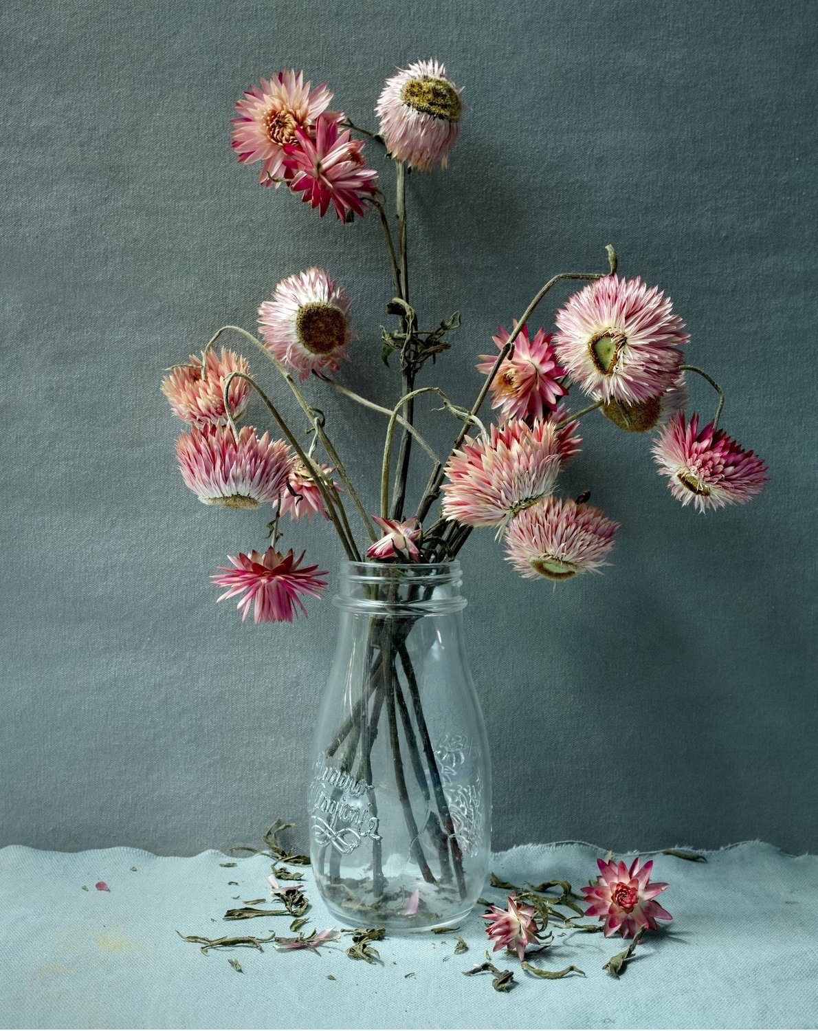 44531-CROPPED.jpg