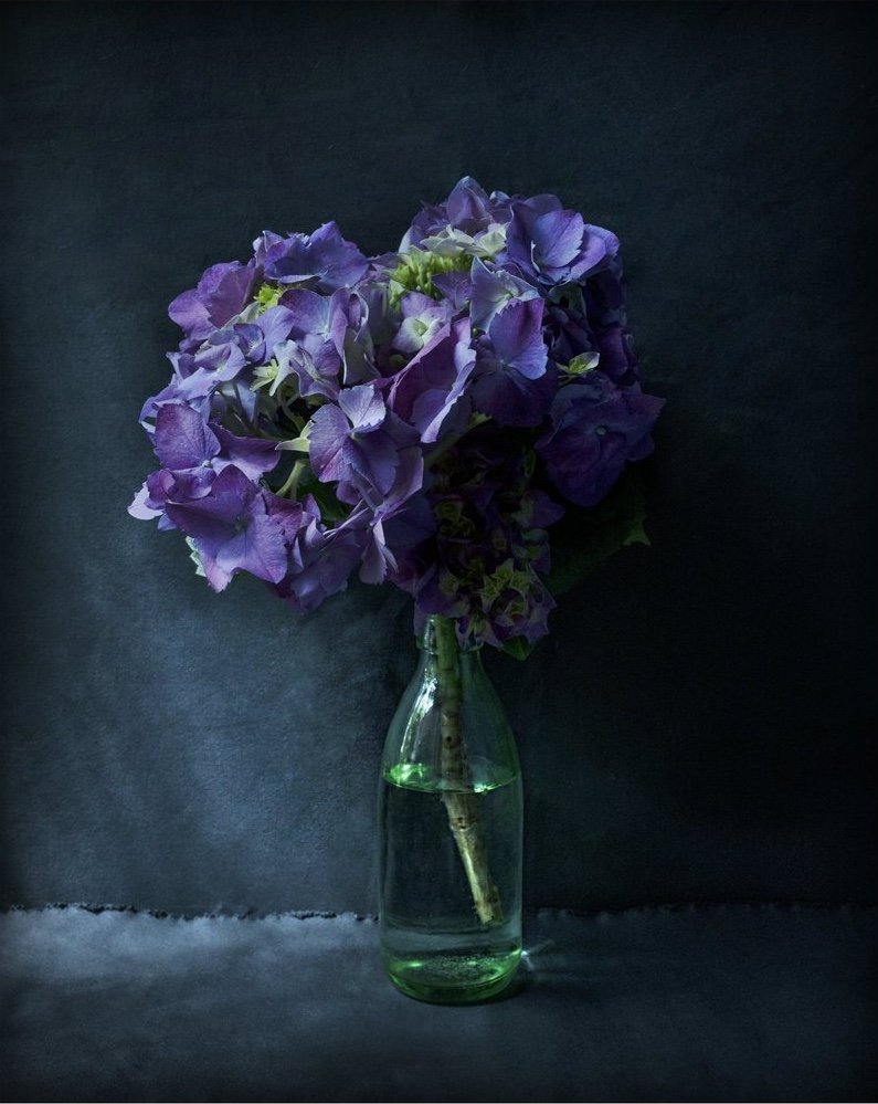 43545-CROPPED.jpg