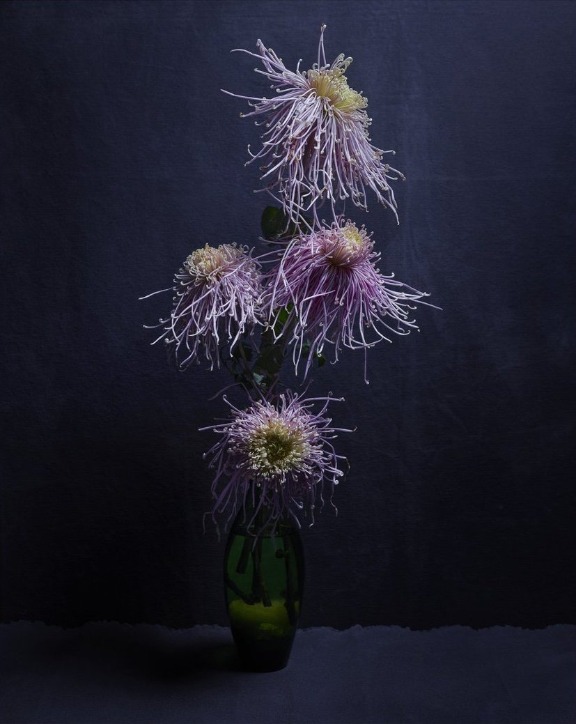 2023_05_18_Flowers_4948+CROPPED.jpg