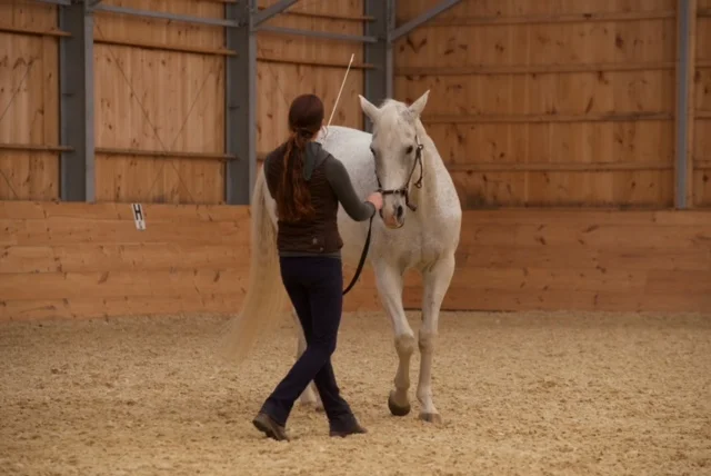 Straightness Training® Workshop with Meg Brauch