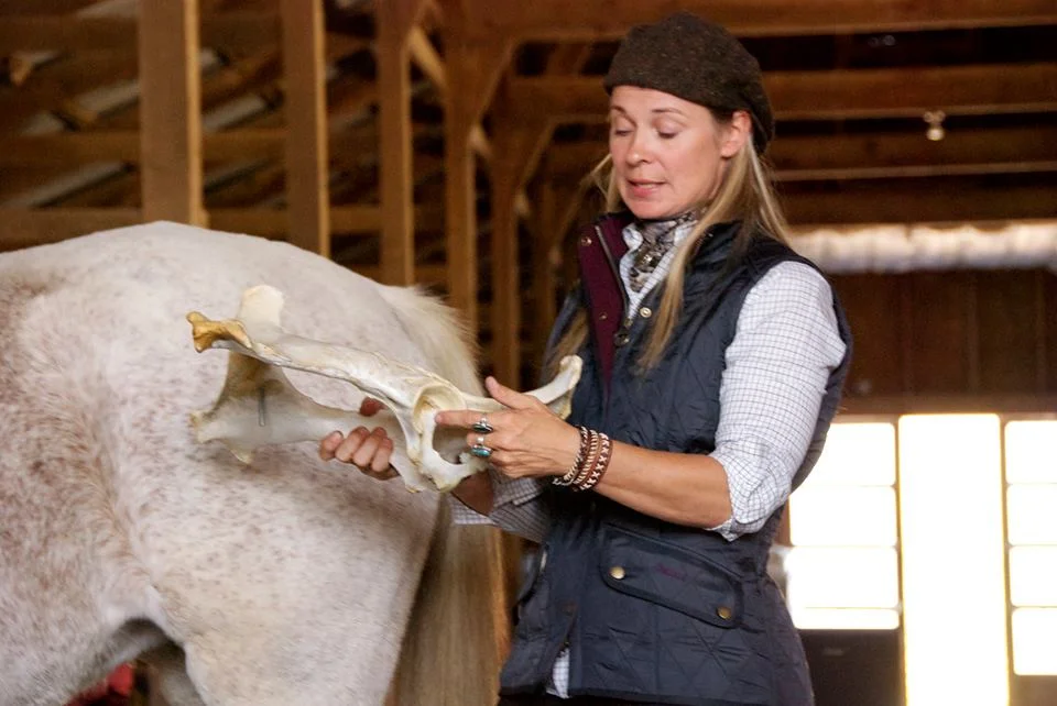 Understanding Equine Movement to Realize Your Horse's Potential