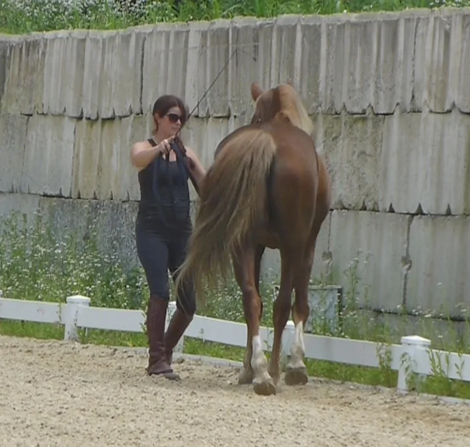 Winter Lecture Series: Understanding and Training the Lateral Exercises