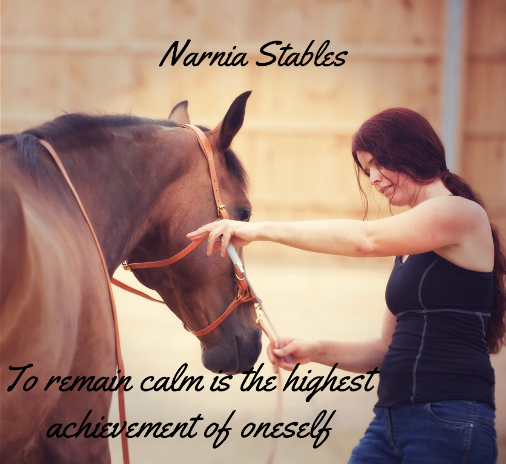 Becoming Grounded Through Horsemanship