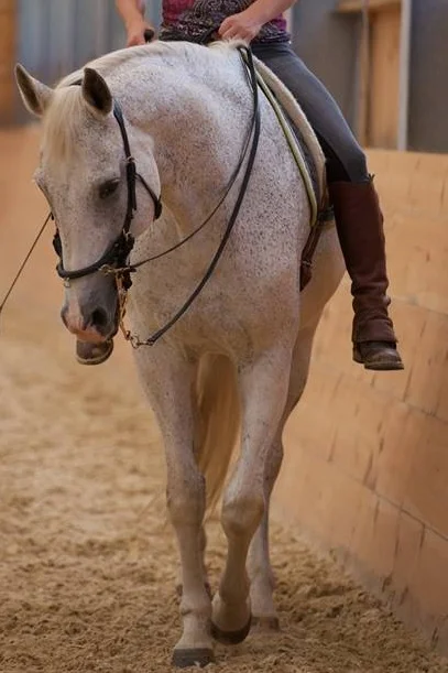 Discussion, Thoughts, and Interpretations on the Shoulder-in