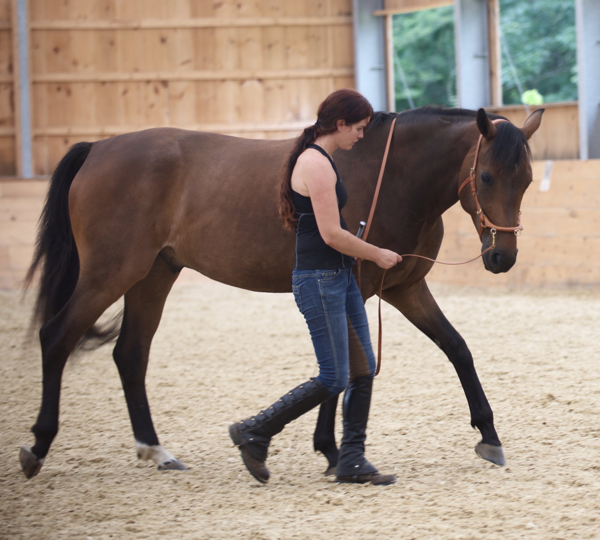 Making Training a Moving Meditation