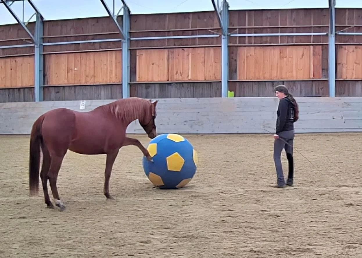 Winter Lecture Series: How to Begin with Connection Based Liberty