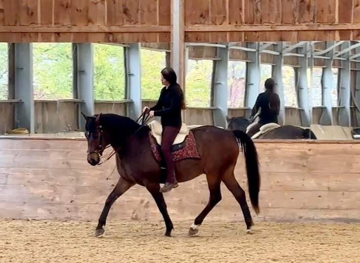 Winter Lecture Series: The Nuance of Correct Bend