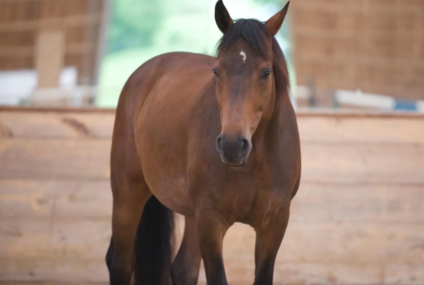 Evenings in Narnia Discussion Series: Turning Setbacks into Opportunities for Growth and Learning