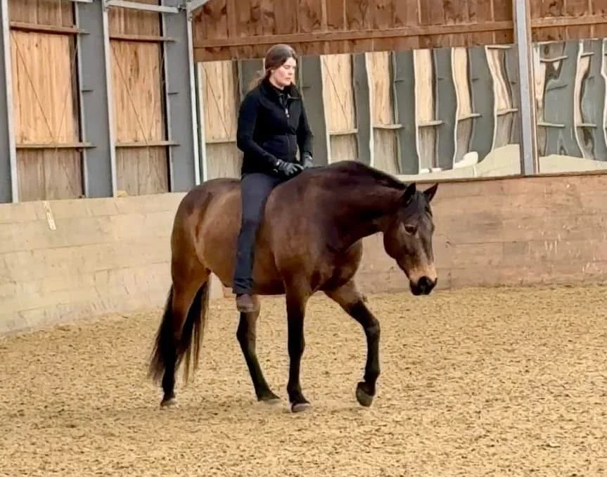 Evenings in Narnia, Winter Discussion Series: Outside the Box