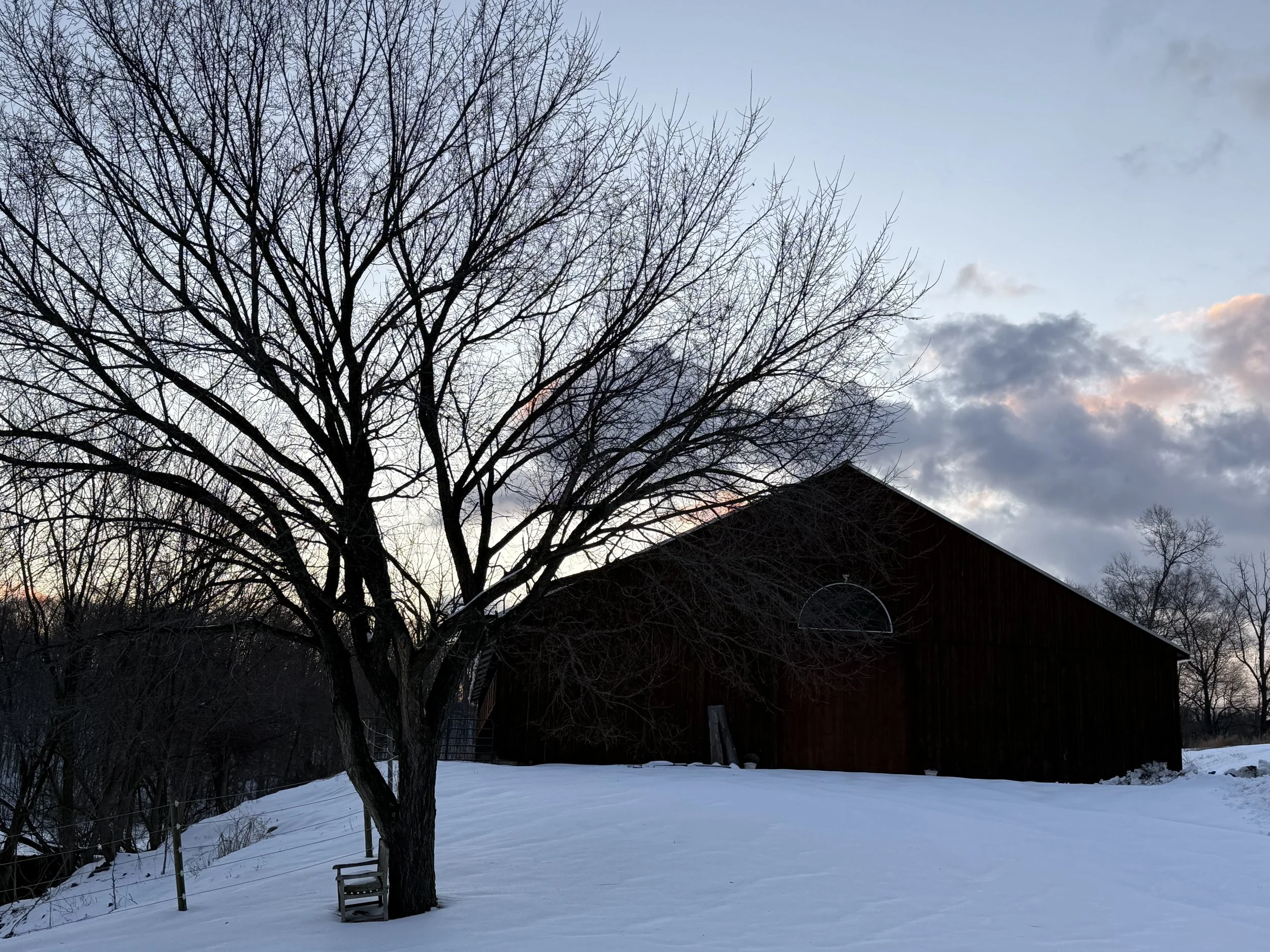 Evenings in Narnia, Winter Discussion Series: Embracing the Magic of Winter