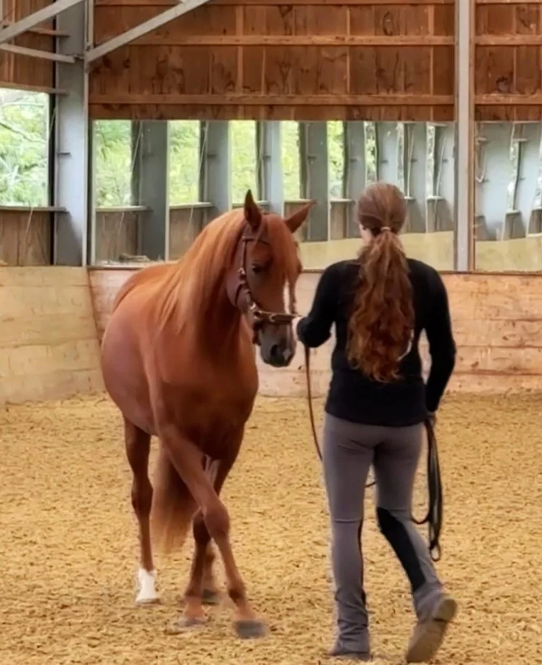 Evenings in Narnia, Winter Discussion Series: The Body Body Connection